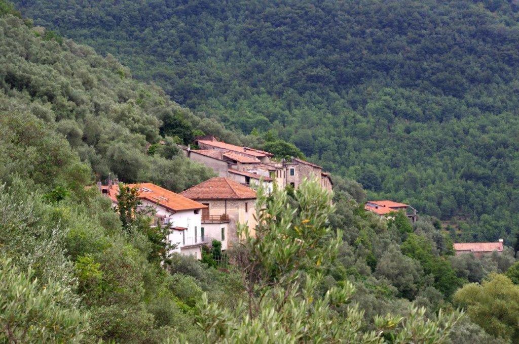 Agriturismo Nonnamelia Nasino Exterior foto